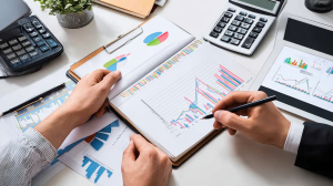 Структура дипломной работы - пример